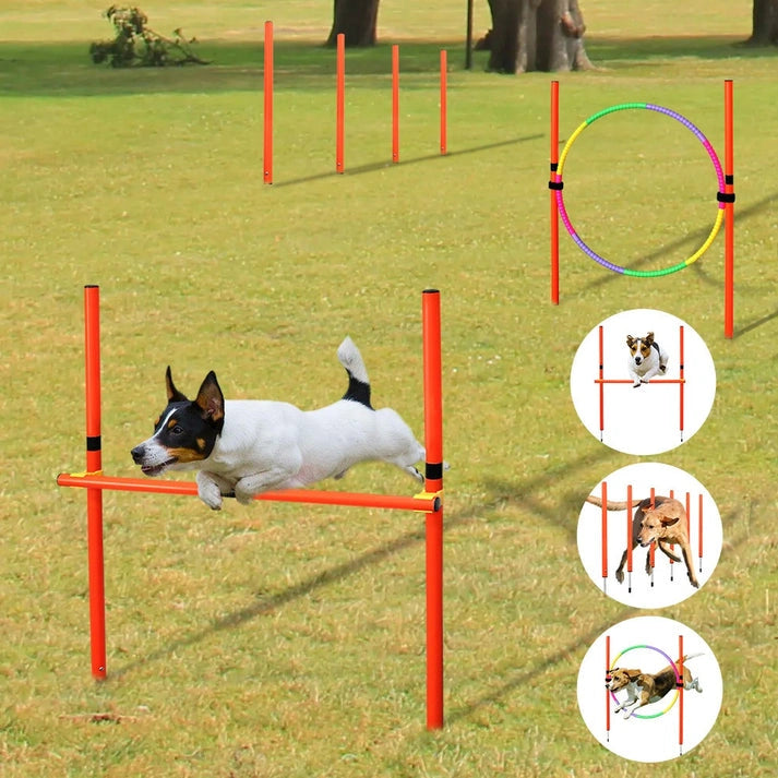 Aaponminimarket Dog Agility Training Equipment