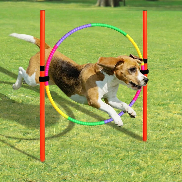 Aaponminimarket Dog Agility Training Equipment