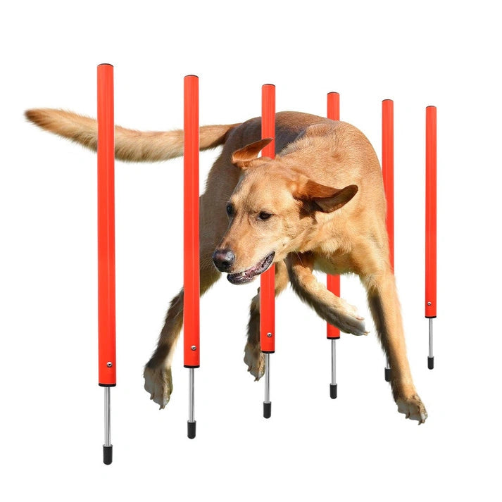 Aaponminimarket Dog Agility Training Equipment
