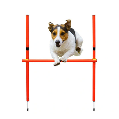 Aaponminimarket Dog Agility Training Equipment