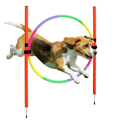 Aaponminimarket Dog Agility Training Equipment