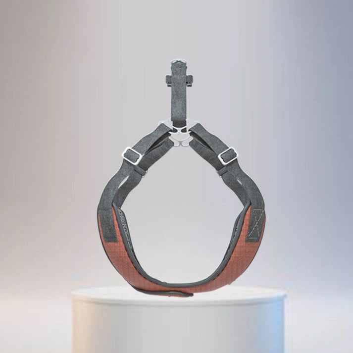 Aaponminimarket Dog Chest Strap and Leash Set
