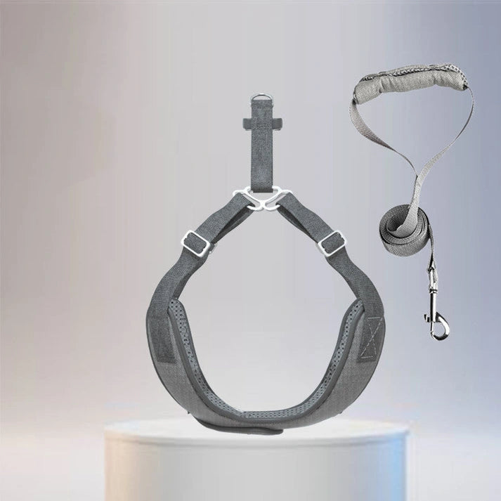 Aaponminimarket Dog Chest Strap and Leash Set