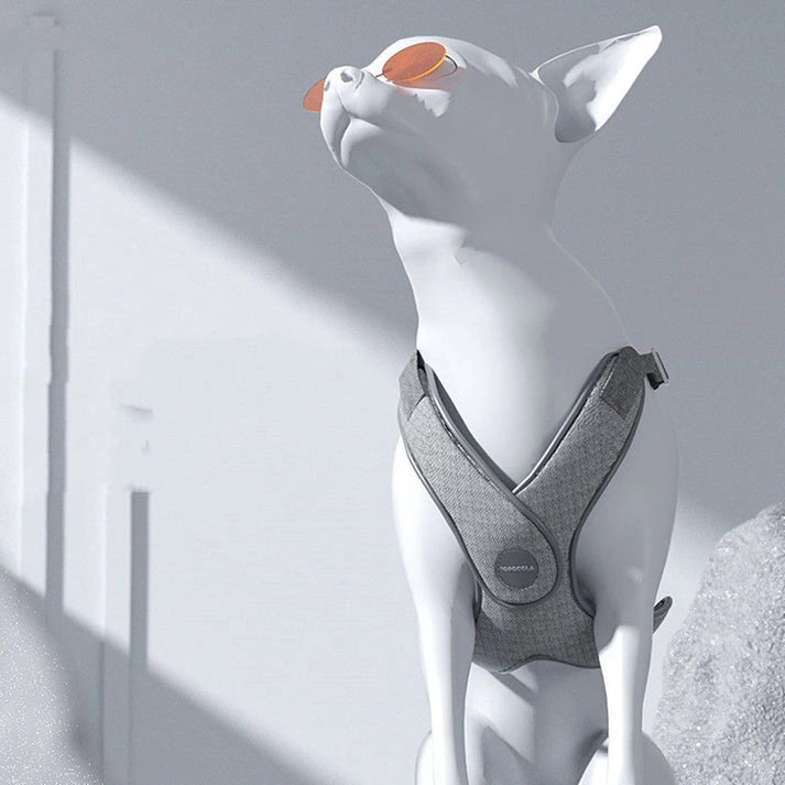 Aaponminimarket Dog Chest Strap and Leash Set