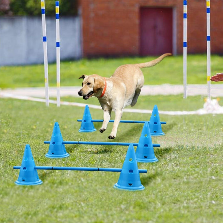 Aaponminimarket Dogs Agility Equipment 01