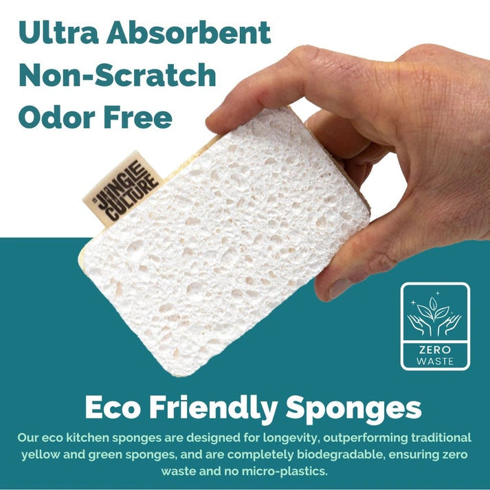 Aaponminimarket Eco Dish Sponges (4-Pack)