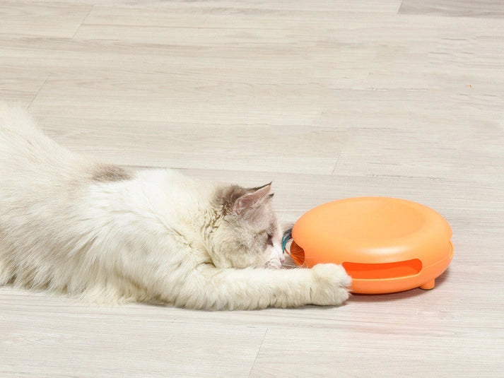 Aaponminimarket Entertaining Feline Feeding Station