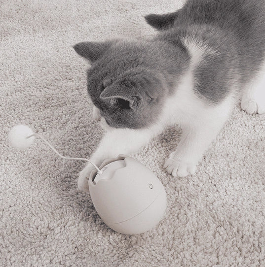 Aaponminimarket Entertaining Mix-Up Cat Rope Toy