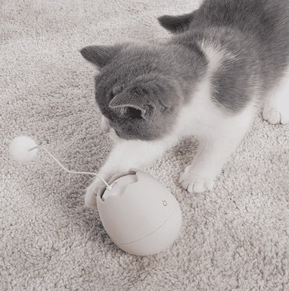 Aaponminimarket Entertaining Mix-Up Cat Rope Toy