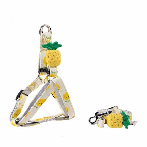 Aaponminimarket Fruit Series Dog Collar