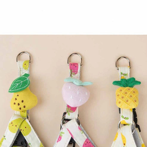 Aaponminimarket Fruit Series Dog Collar