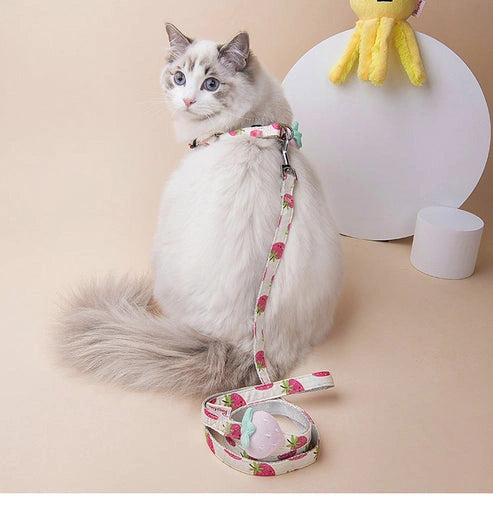 Aaponminimarket Fruit Series Dog Collar
