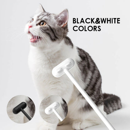Aaponminimarket Funny Cat Toy Comb Sticker