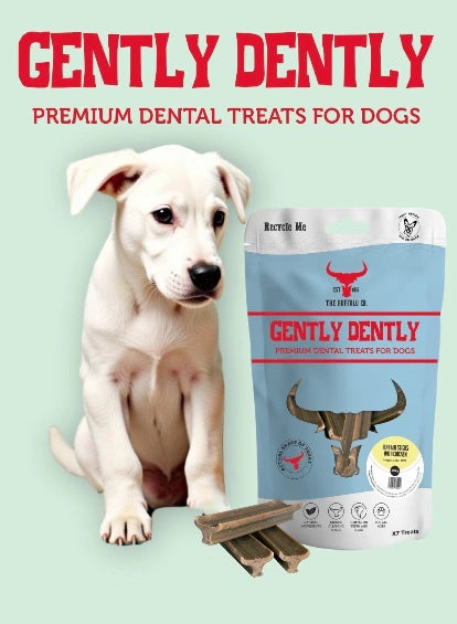 Aaponminimarket Gently Dently- Chicken Dental Treats for Dogs 175g