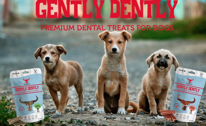 Aaponminimarket Gently Dently- Chicken Dental Treats for Dogs 175g