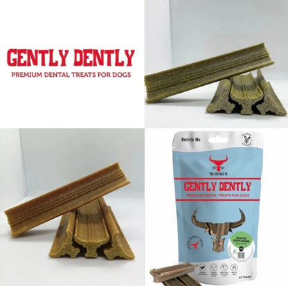 Aaponminimarket Gently Dently- Fresh Breath Mint Dental Treats for Dogs 175g