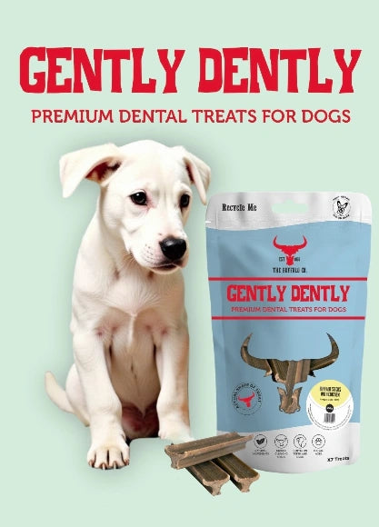 Aaponminimarket Gently Dently- Fresh Breath Mint Dental Treats for Dogs 175g