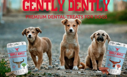 Aaponminimarket Gently Dently- Fresh Breath Mint Dental Treats for Dogs 175g