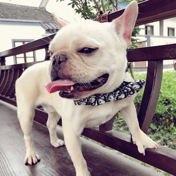 Aaponminimarket Handsome Dog Bow Tie Collar