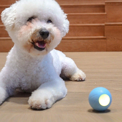 Aaponminimarket Interactive Cat Toy for Active Play and Mental Stimulation