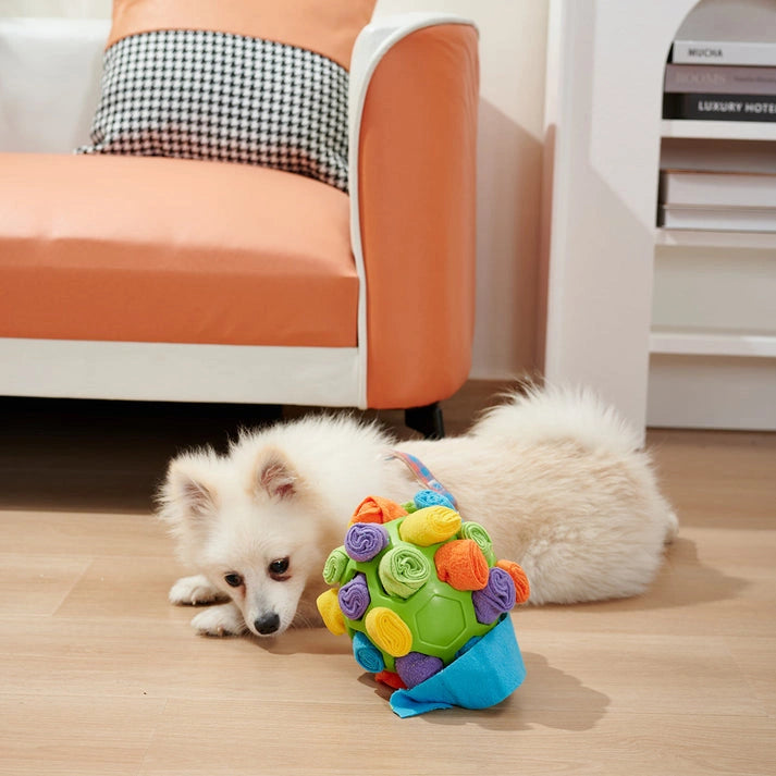 Aaponminimarket Interactive Dog Sniffing Ball Puzzle Toy