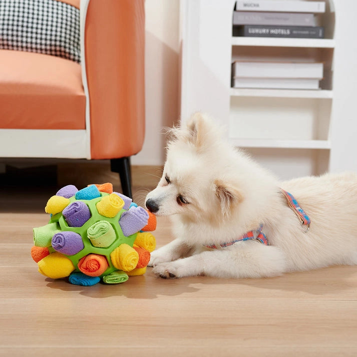 Aaponminimarket Interactive Dog Sniffing Ball Puzzle Toy