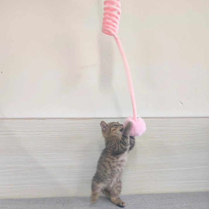 Aaponminimarket Interactive Rabbit Hair Ball Cat Toy