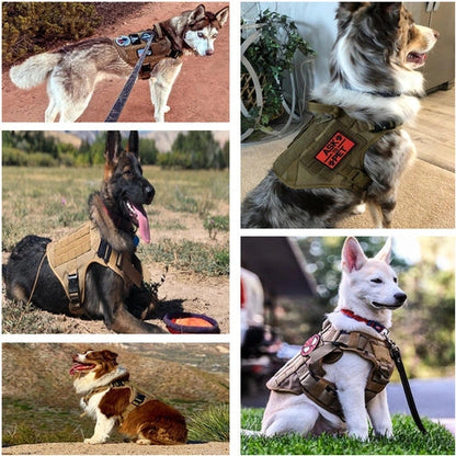 Aaponminimarket Large Dog Harness Set