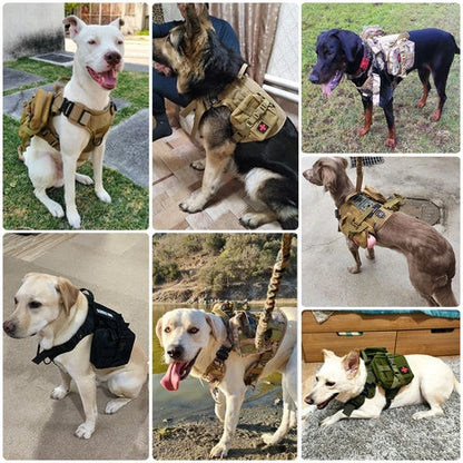 Aaponminimarket Large Dog Harness Set
