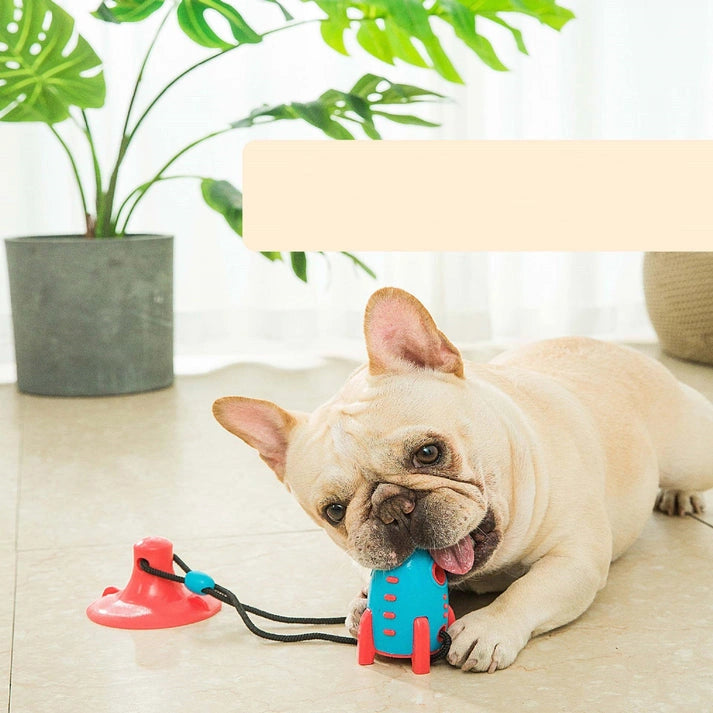 Aaponminimarket Leak-Proof Interactive Dog Chew Toy