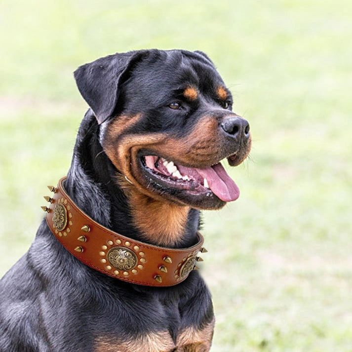 Aaponminimarket Leather Dog Collars