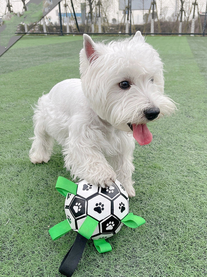 Aaponminimarket Lovely Paw Football Dog Toy