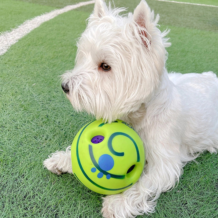 Aaponminimarket Lovely Paw Football Dog Toy
