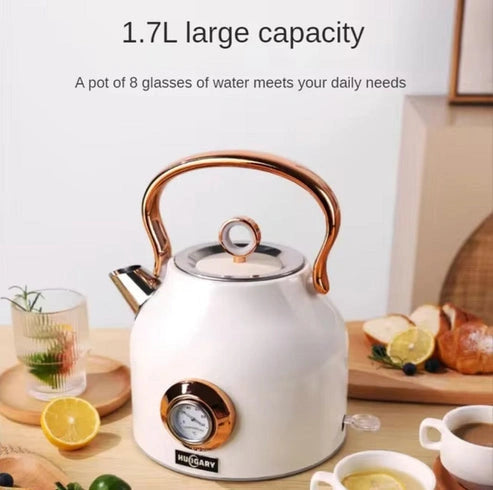 Aaponminimarket NNEDSZ 1.7L Electric Water Kettle