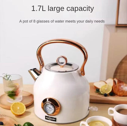 Aaponminimarket NNEDSZ 1.7L Electric Water Kettle
