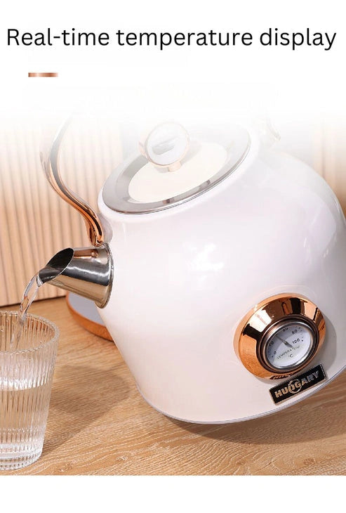 Aaponminimarket NNEDSZ 1.7L Electric Water Kettle