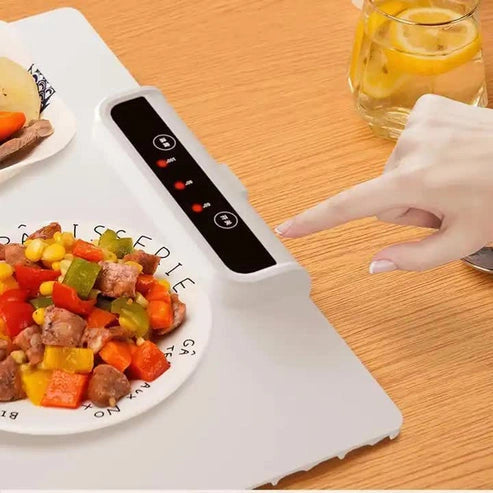 Aaponminimarket NNEDSZ Electric Food Warmer Plate
