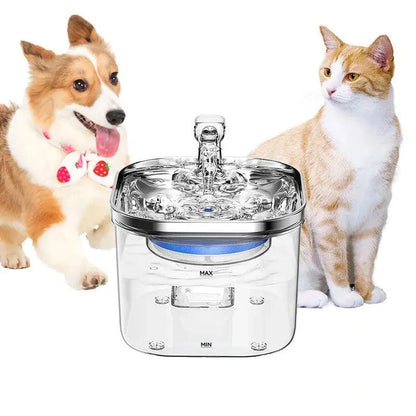 Aaponminimarket NPET Pet Hydration Fountain