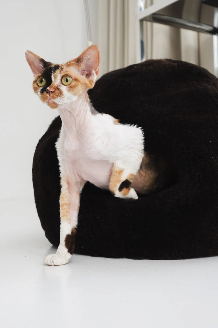 Aaponminimarket Nest Natural Sheepskin Pet Bed - Brown