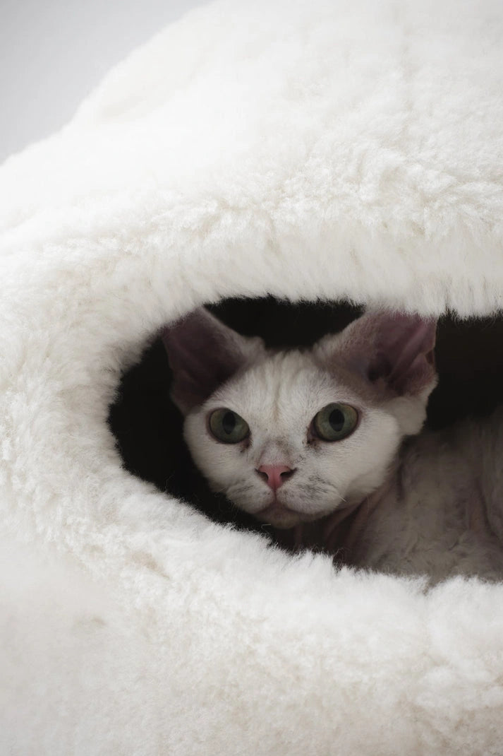 Aaponminimarket Nest Natural Sheepskin Pet Bed - White