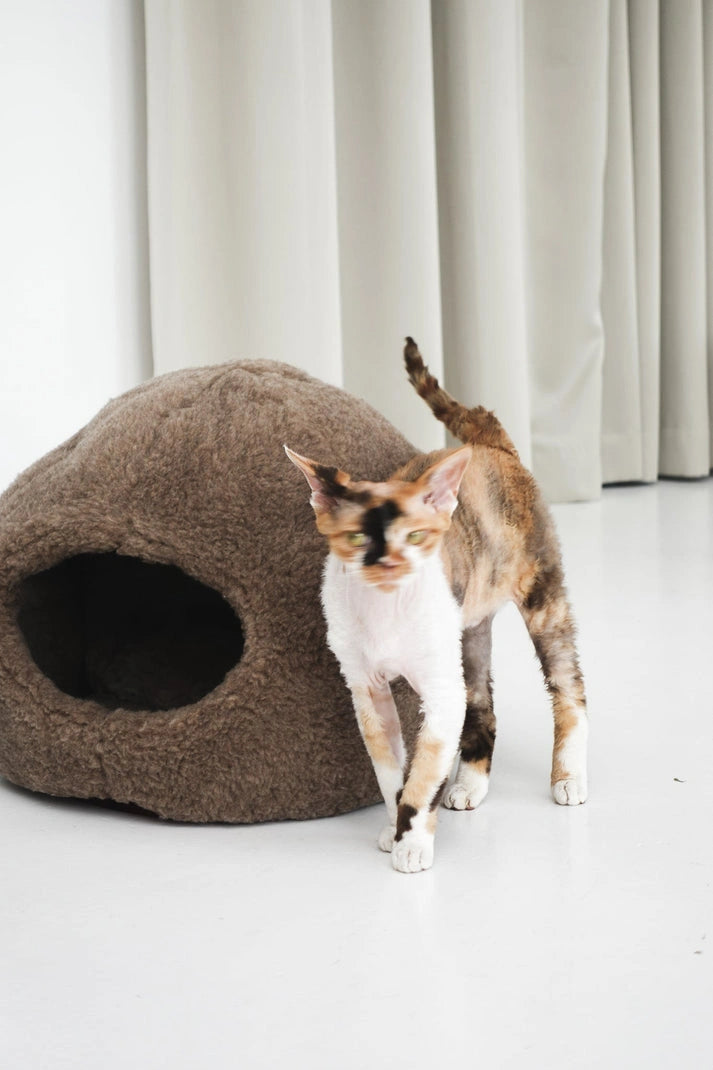 Aaponminimarket Nest Natural Sheepskin Pet Bed (Beige)
