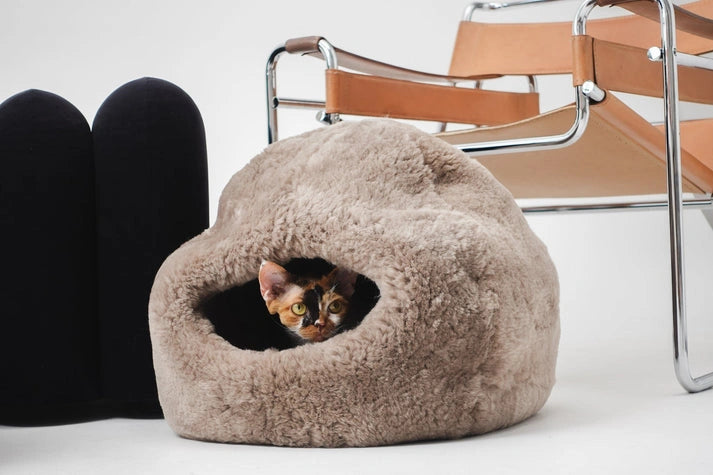 Aaponminimarket Nest Natural Sheepskin Pet Bed (Beige)
