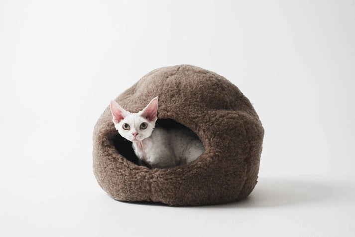 Aaponminimarket Nest Natural Woolen Pet Bed - Beige