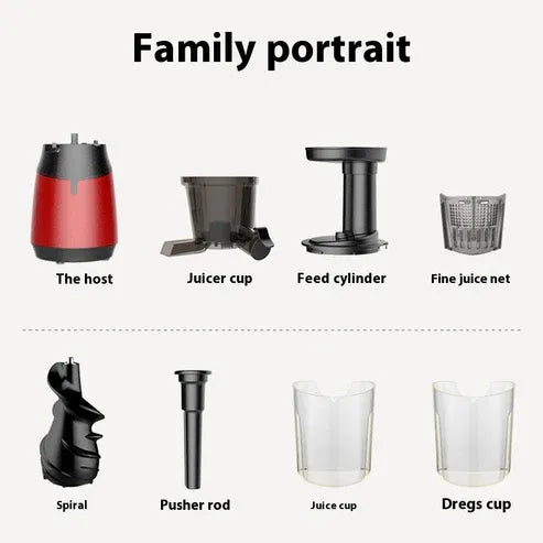 Aaponminimarket Nutrient-Rich Low Speed Juicer