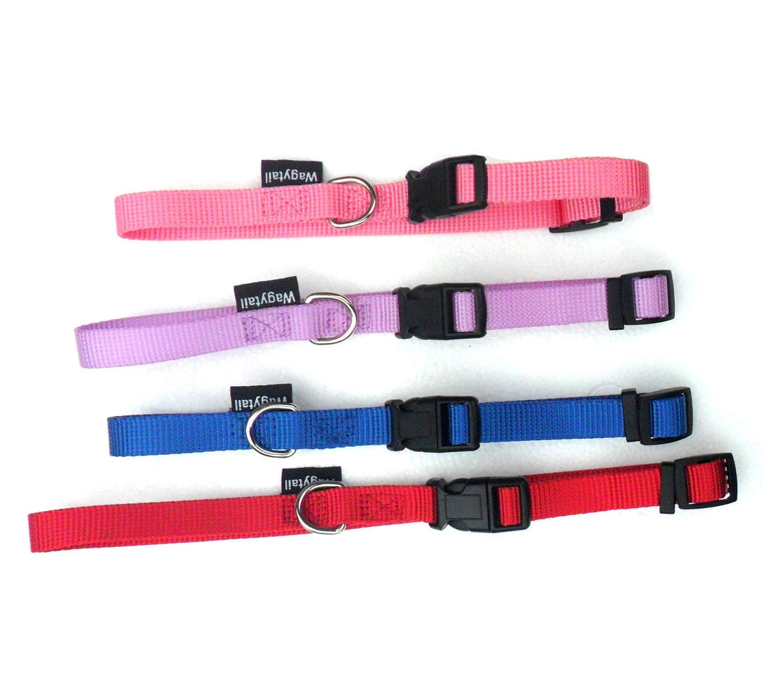 Aaponminimarket Nylon Adjustable Dog Collars