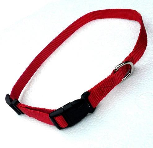 Aaponminimarket Nylon Adjustable Dog Collars