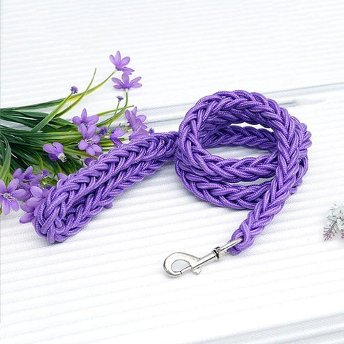 Aaponminimarket Nylon Dog Harness Leash