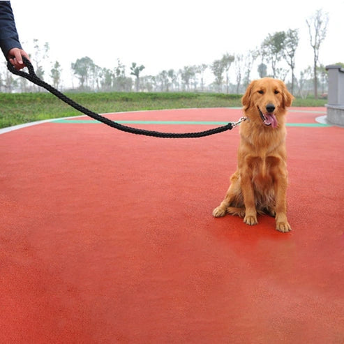 Aaponminimarket Nylon Dog Harness Leash