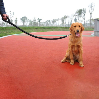 Aaponminimarket Nylon Dog Harness Leash