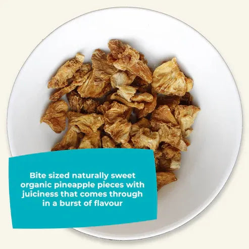 Aaponminimarket Organic Gently Dried Pineapple Chunks